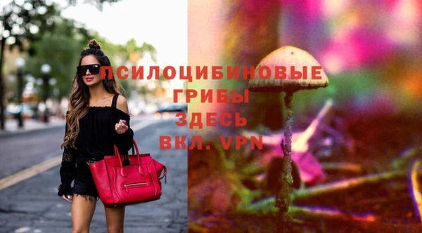 МДМА Анжеро-Судженск