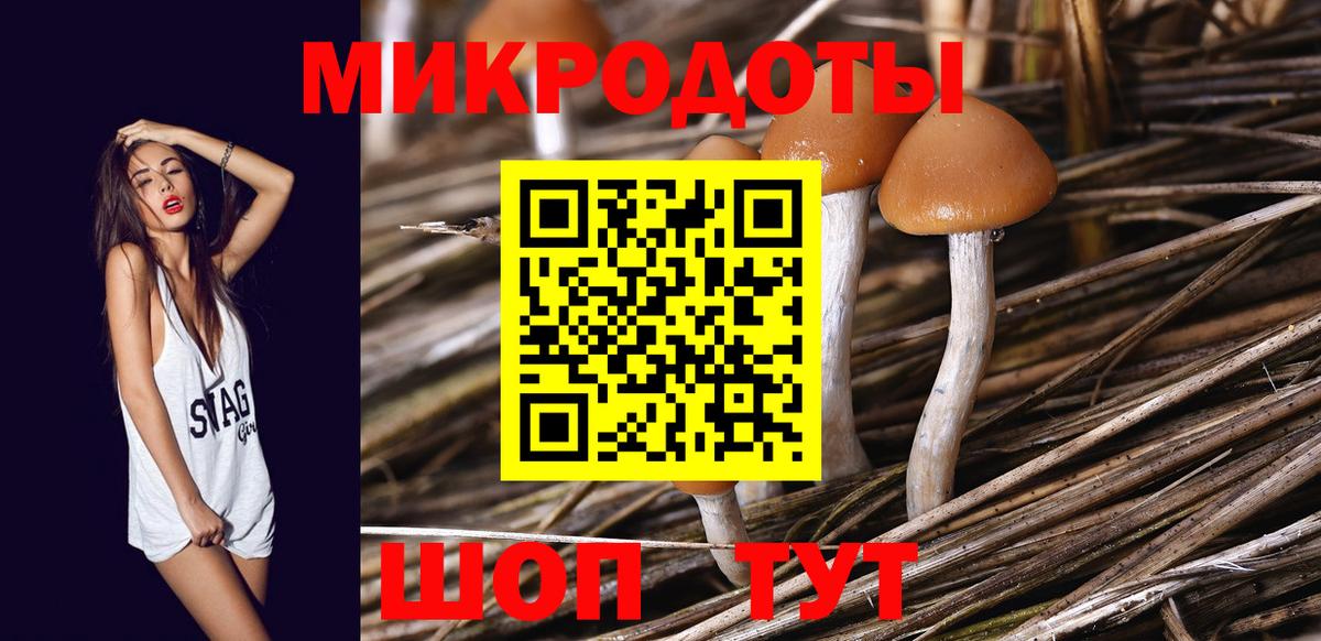 Псилоцибиновые грибы мицелий Гусь-Хрустальный