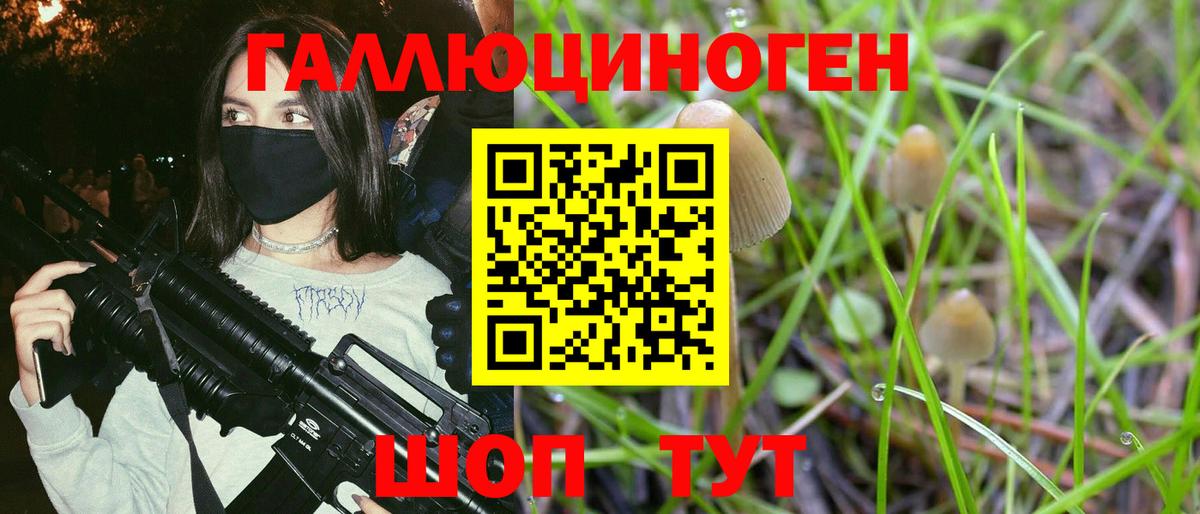 Гусь-Хрустальный  Псилоцибиновые грибы Cubensis  Вход с VPN 